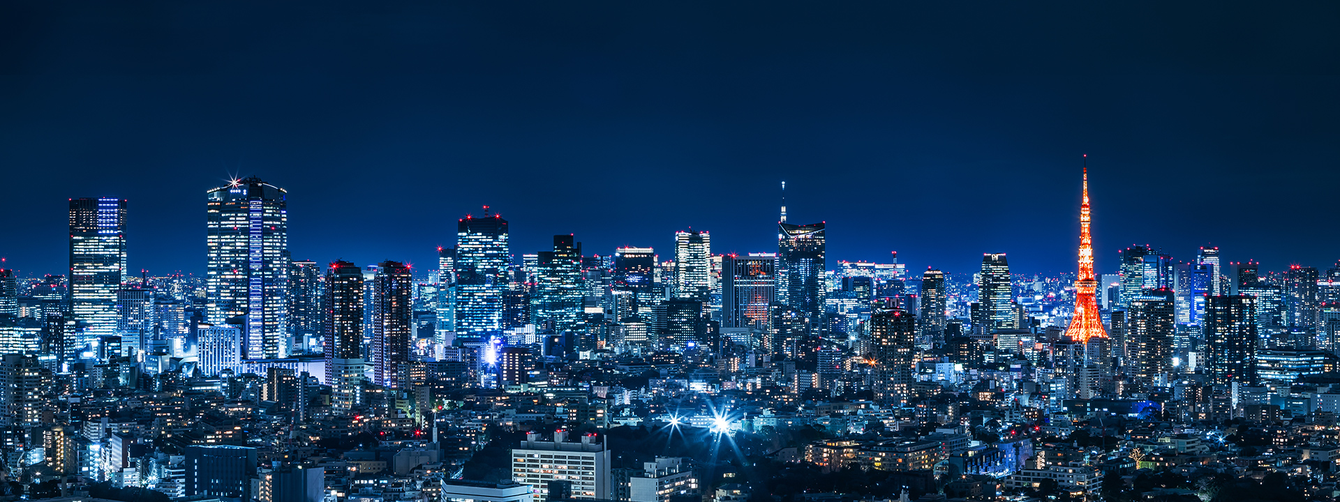 日本の電気事業